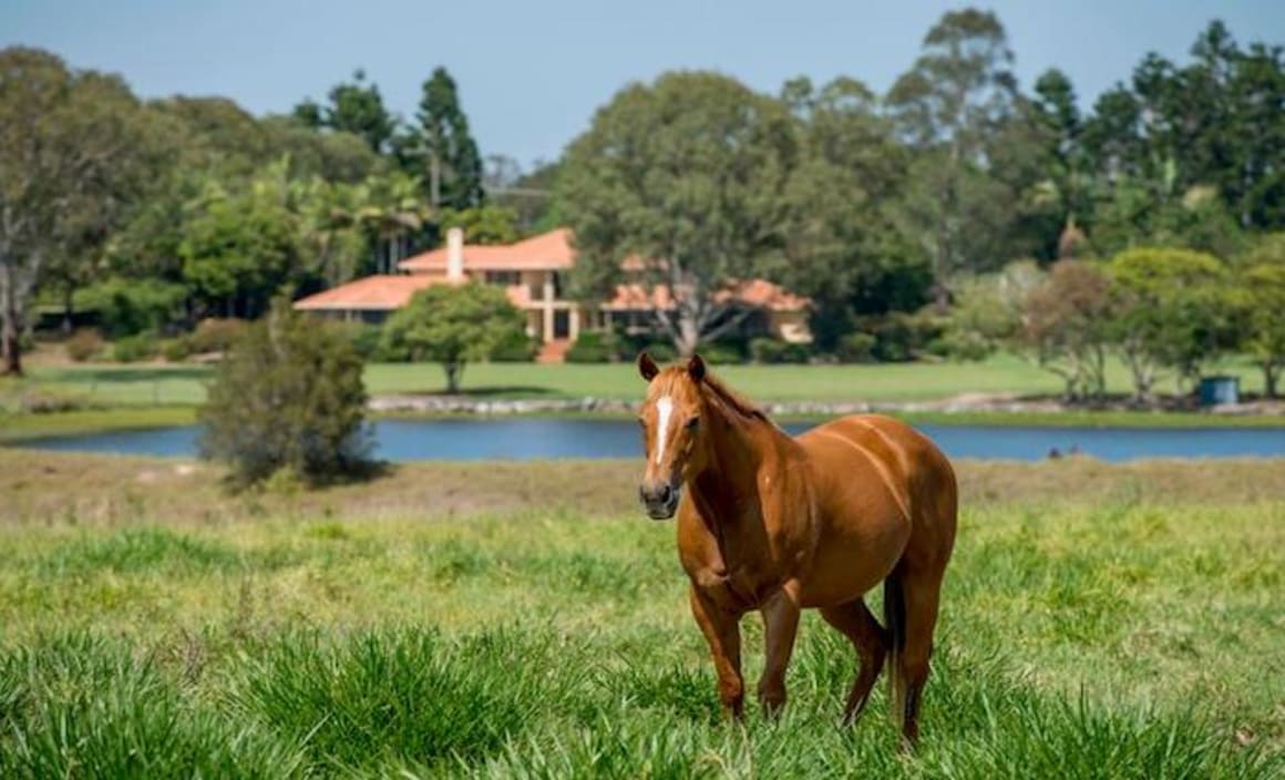 Southeast Queensland horse breeding farm for sale